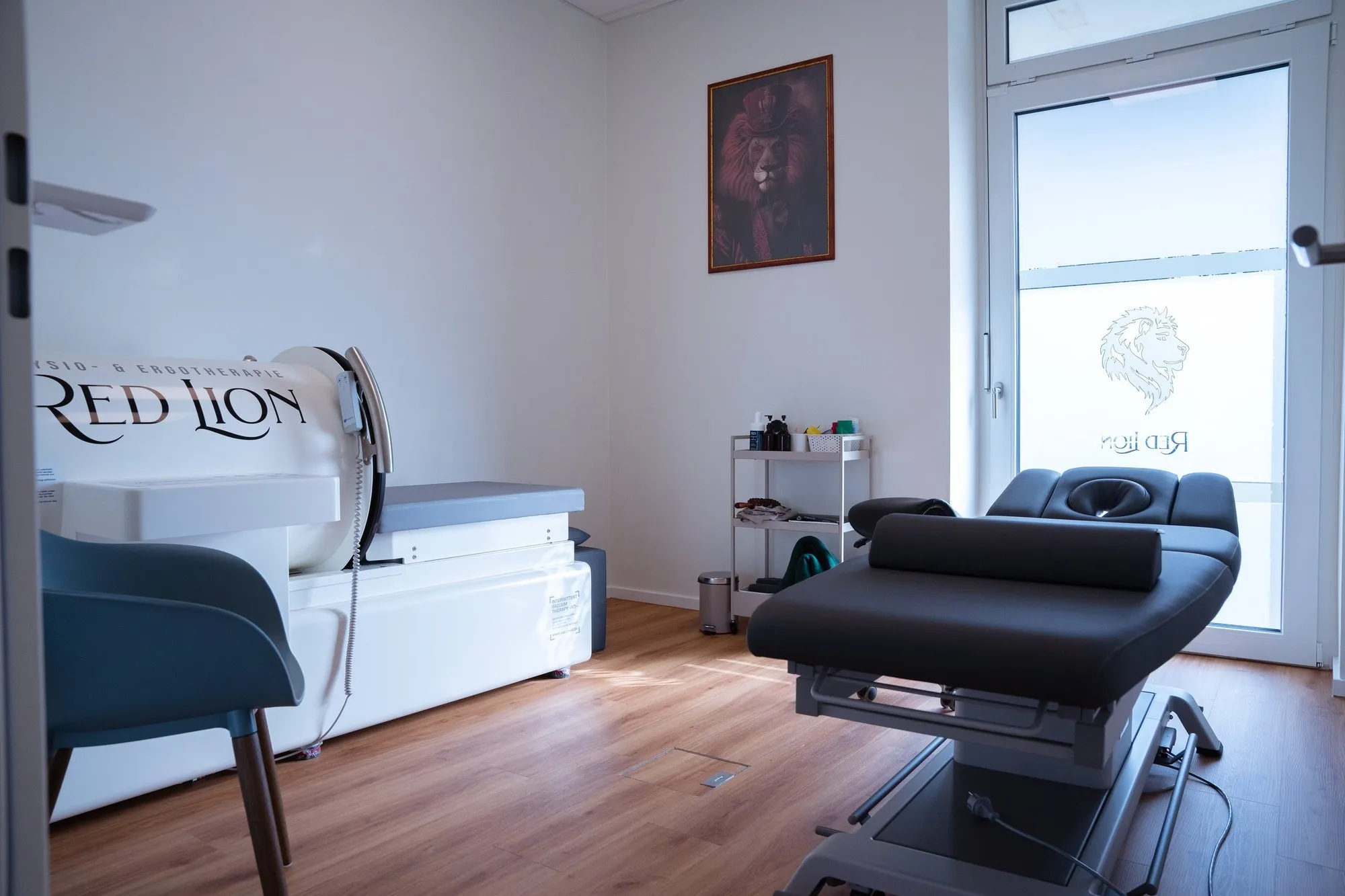 Behandlungsraum der Physiotherapie bei Praxis Red Lion Lübeck mit moderner Therapieliege